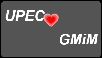 UPEC 2020 新生风采之GMiM项目（一）